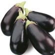 melanzane melanzane