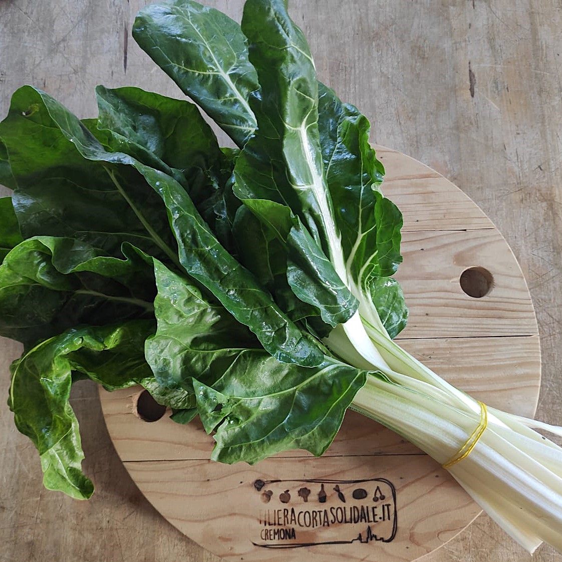 biete costa nazareth