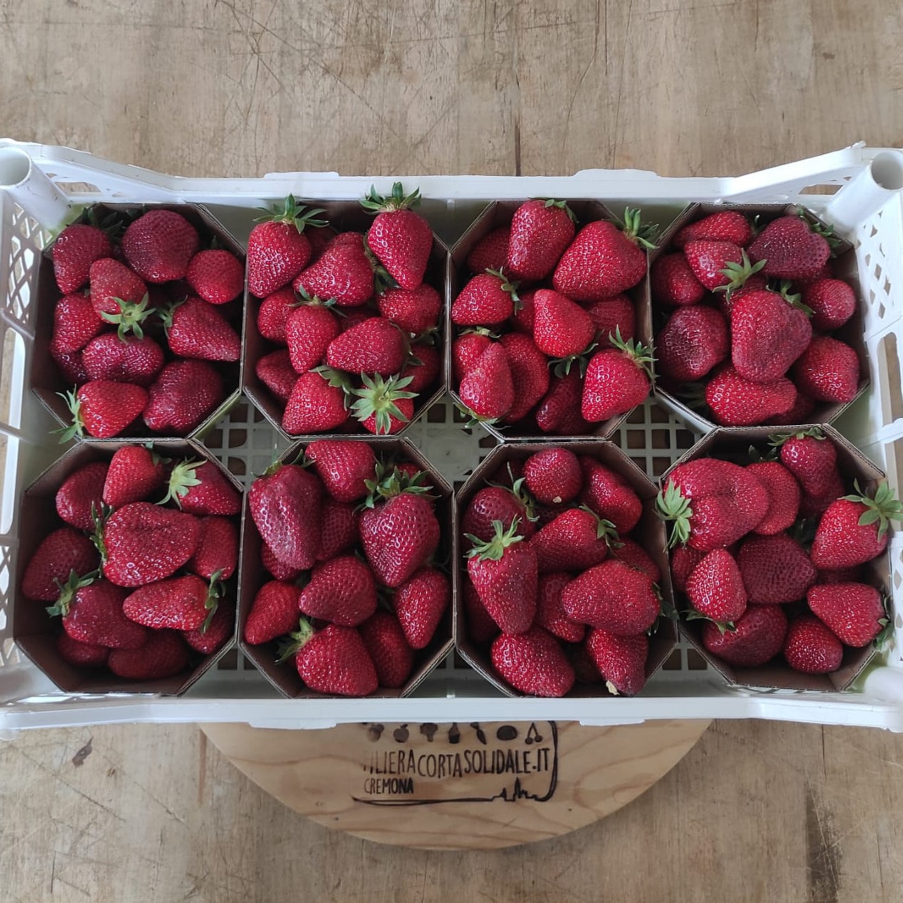 fragole cassetta gasperi