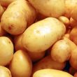 patate gialle patate gialle