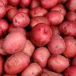 patate rosse patate rosse