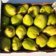 pere cotogne pere cotogne