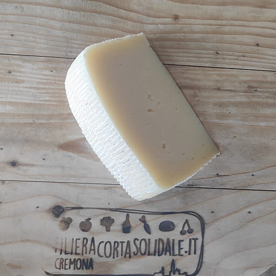 bianchessi pecorino gerundo