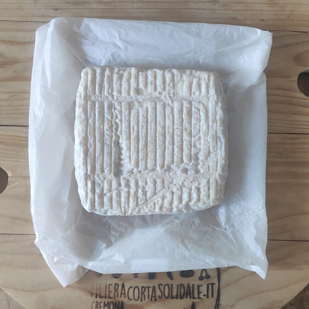 bianchessi stracchino fiorito