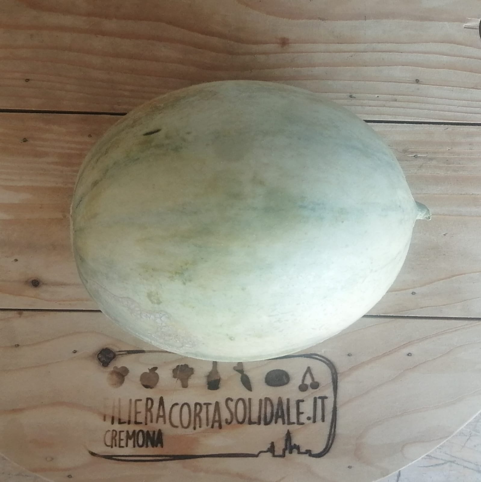 Melone Gasperi