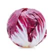 radicchio rosso tondo 01 radicchio rosso tondo 01