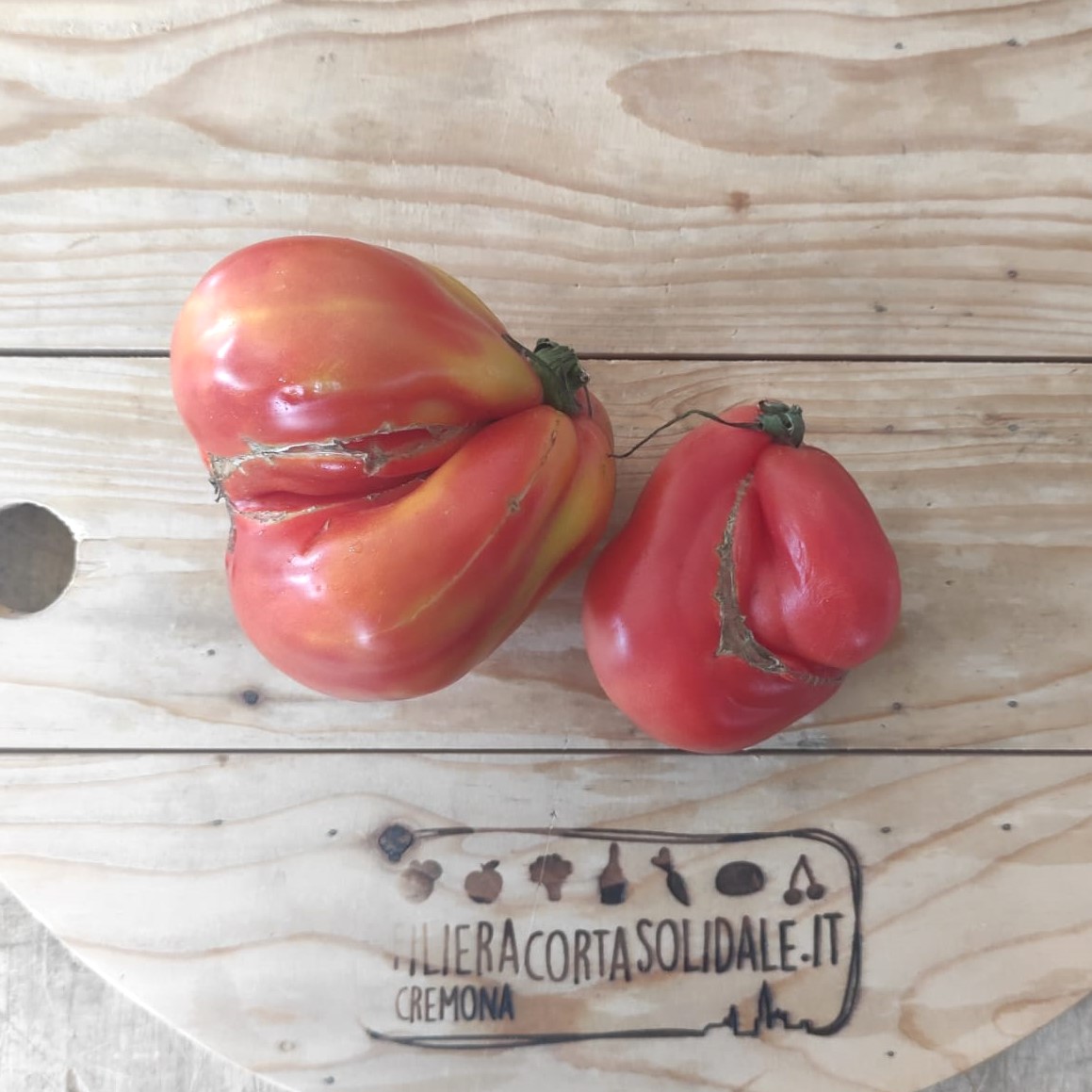 pomodori cuor di bue seconda scelta